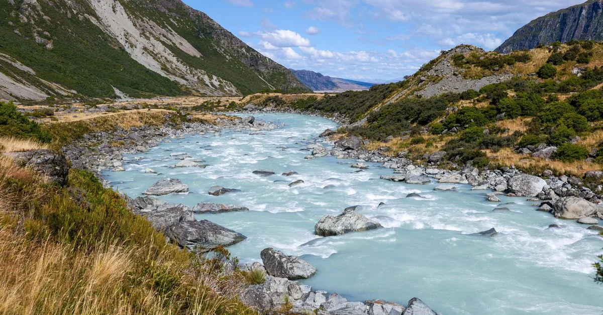 Best Cruise Tours in Southland Region