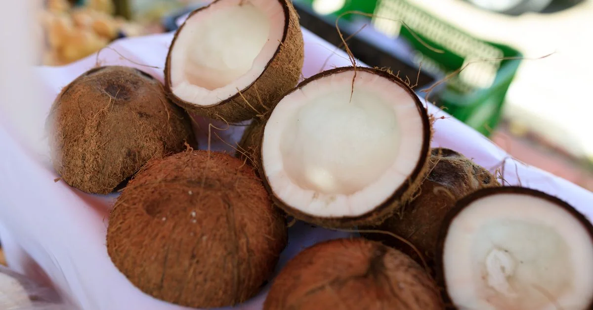 Traveling from Split to Munich: A Transit Overview