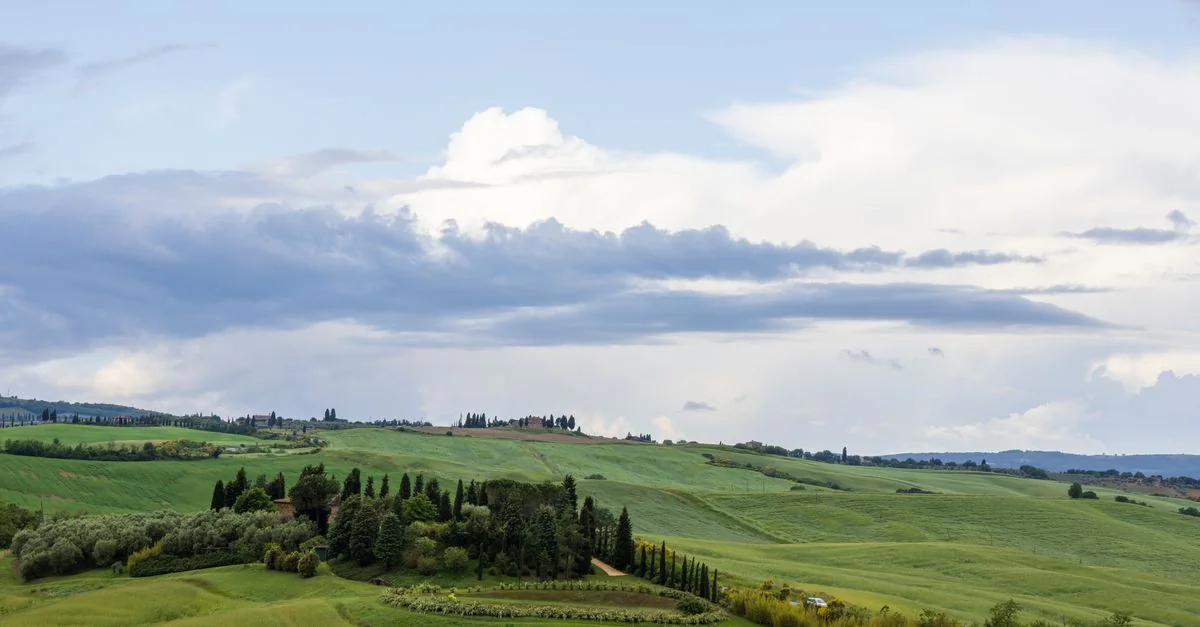 Exploring SR&rsquo;s Culinary Delights: A Food Tour Guide