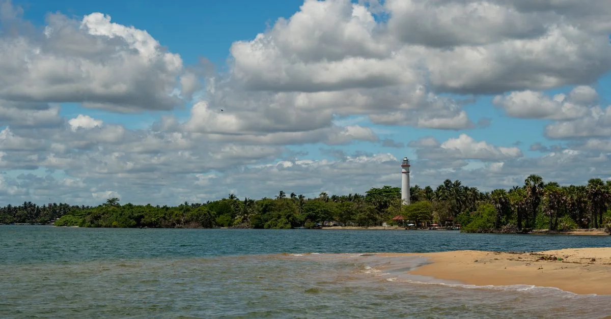 Nature and Wildlife Tours in Sri Lanka: Safari, Birdwatching and Eco Adventures