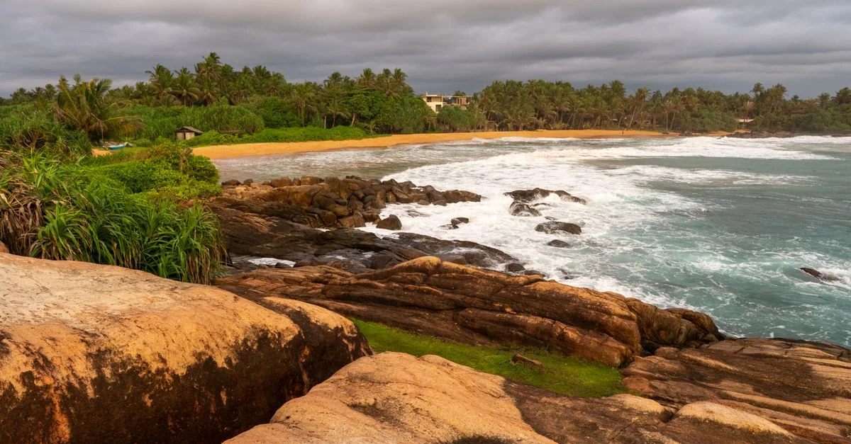 Nature and Wildlife Tours in Sri Lanka: Safari, Birdwatching and Eco Adventures