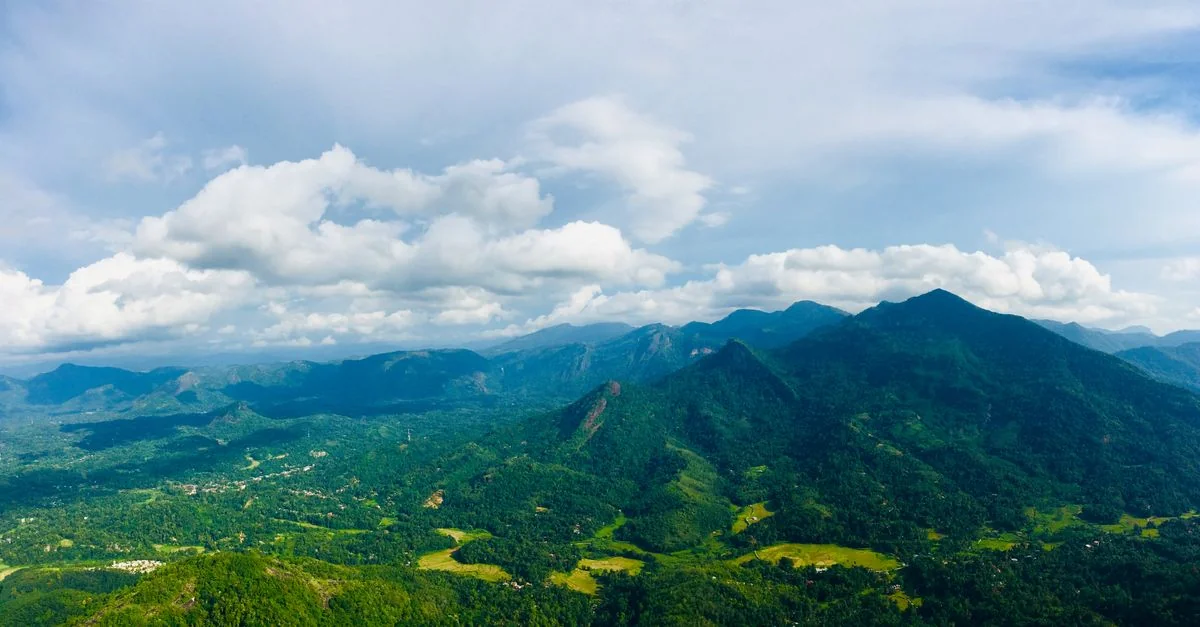 Nature and Wildlife Tours in Sri Lanka: Safari, Birdwatching and Eco Adventures