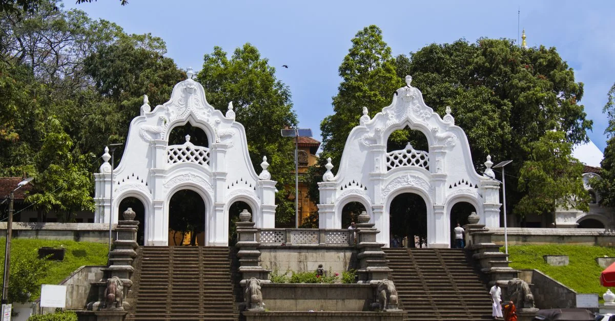 Nature and Wildlife Tours in Sri Lanka: Safari, Birdwatching and Eco Adventures