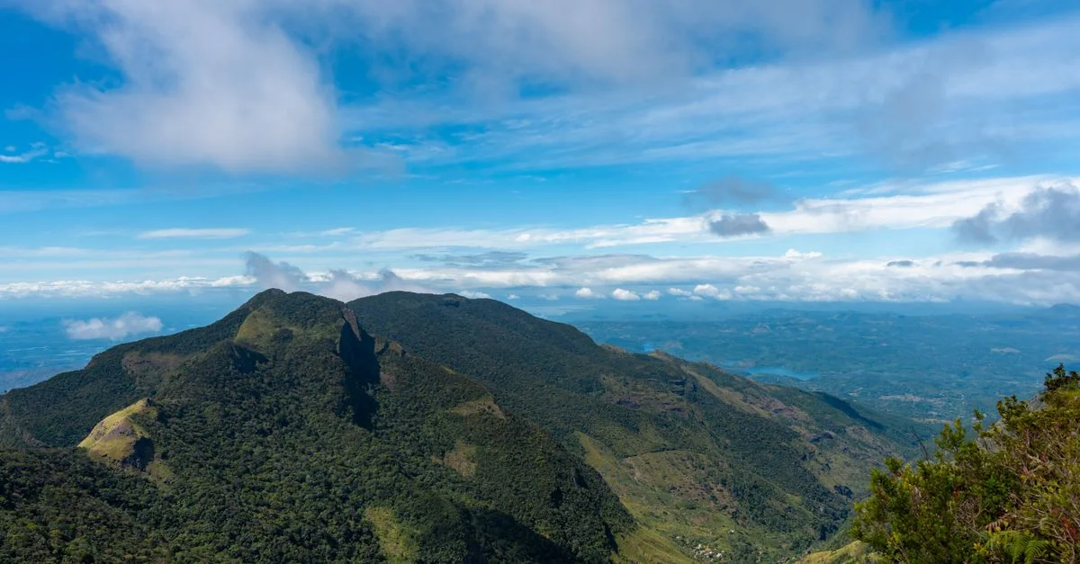 Nature and Wildlife Tours in Sri Lanka: Safari, Birdwatching and Eco Adventures