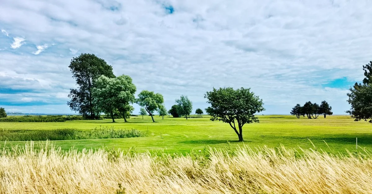 Photography Tours in Stockholms län: Best Photo Walks and Workshops