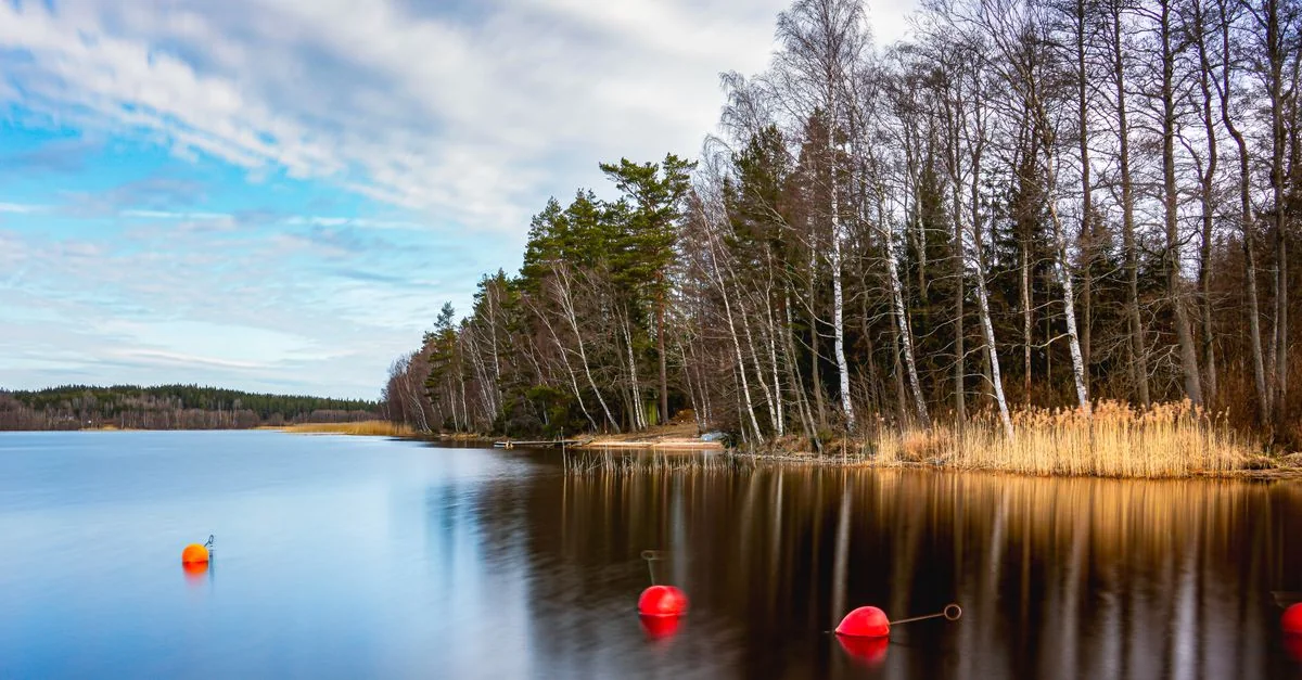 Photography Tours in Stockholms län: Best Photo Walks and Workshops