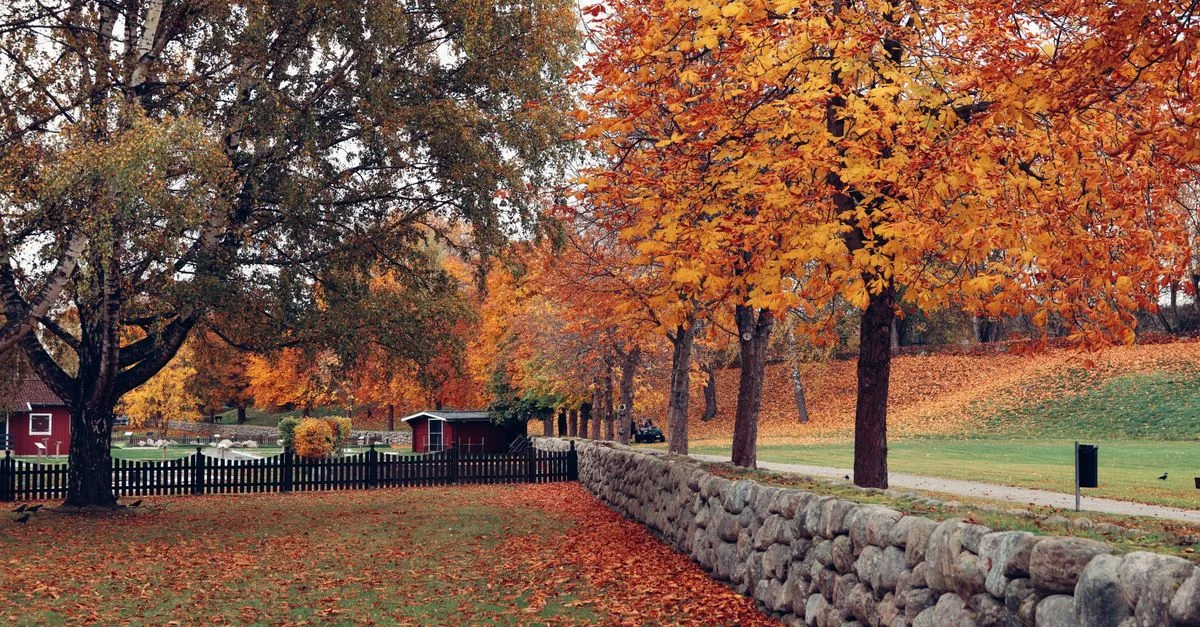 Photography Tours in Stockholms län: Best Photo Walks and Workshops