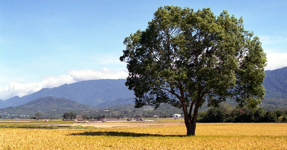 taiwan-visa-free