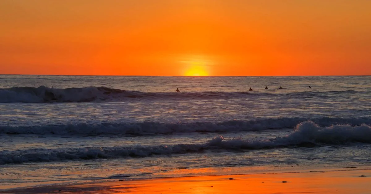 Tamarindo Airport Transfer Guide: Getting You to the Coast Without the Hassle