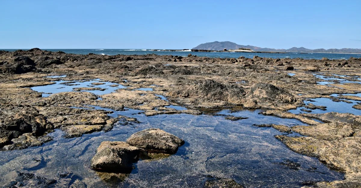 Tamarindo Airport Transfer Guide: Getting You to the Coast Without the Hassle