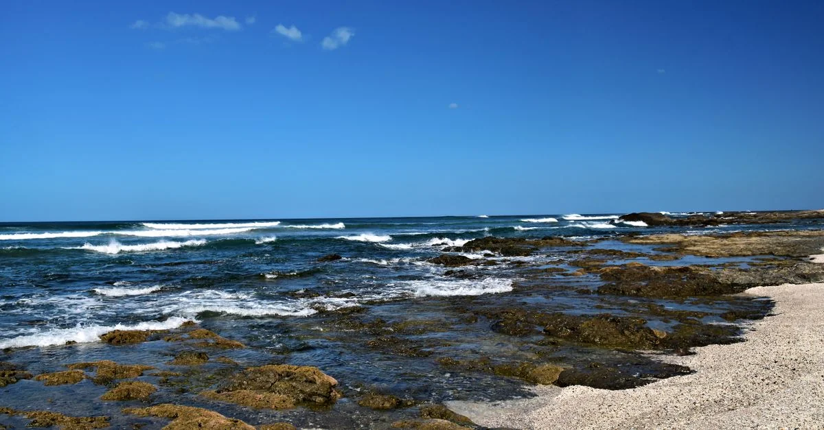 Tamarindo Airport Transfer Guide: Getting You to the Coast Without the Hassle