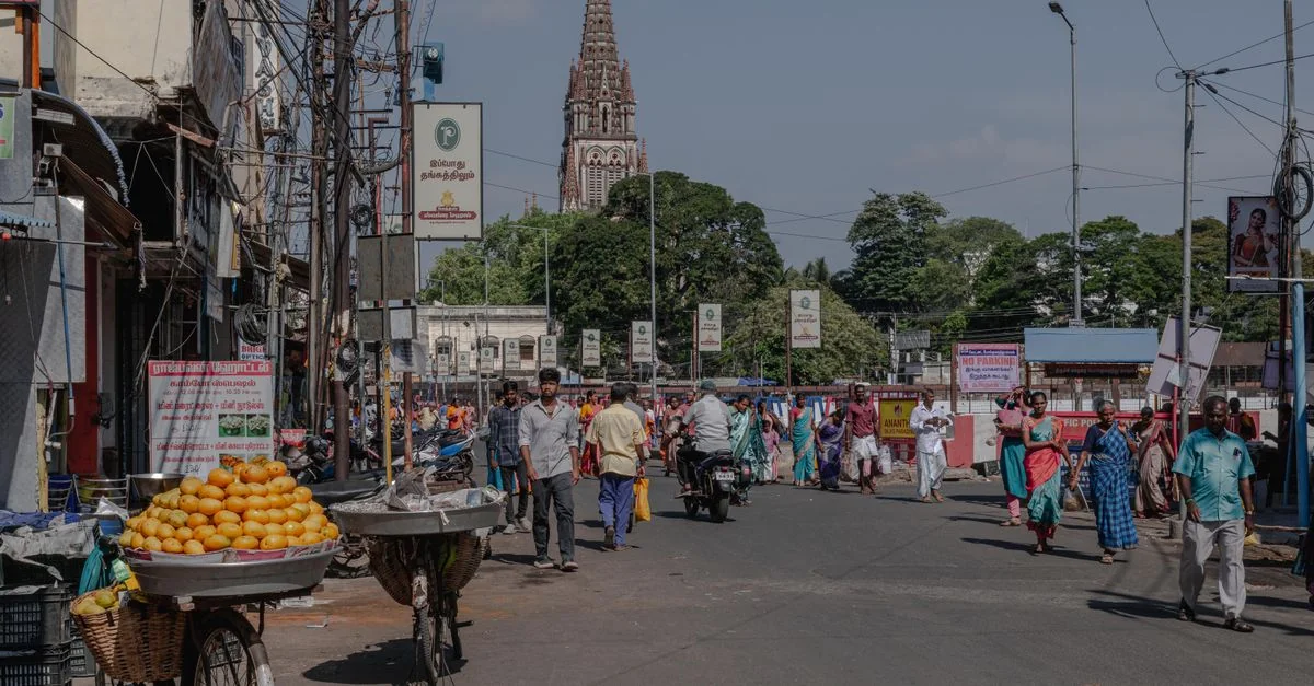 Tamil Nadu: A Journey Through Stone and Spirit