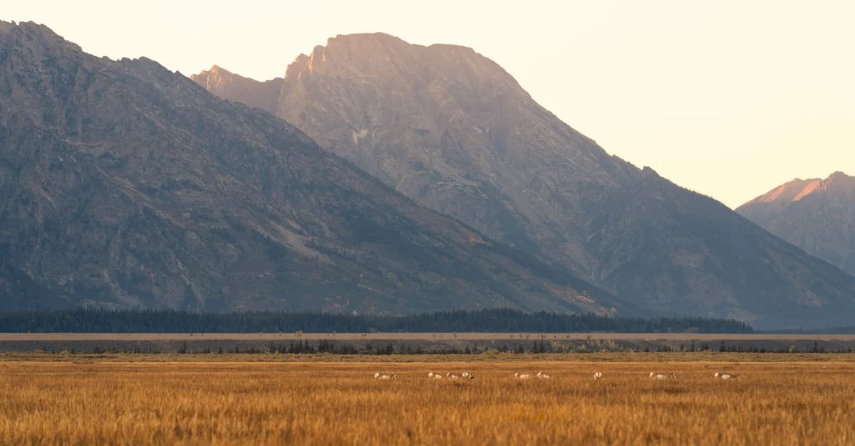 Teton County Day Trips: Chasing Geysers and Grizzlies Beyond the Range