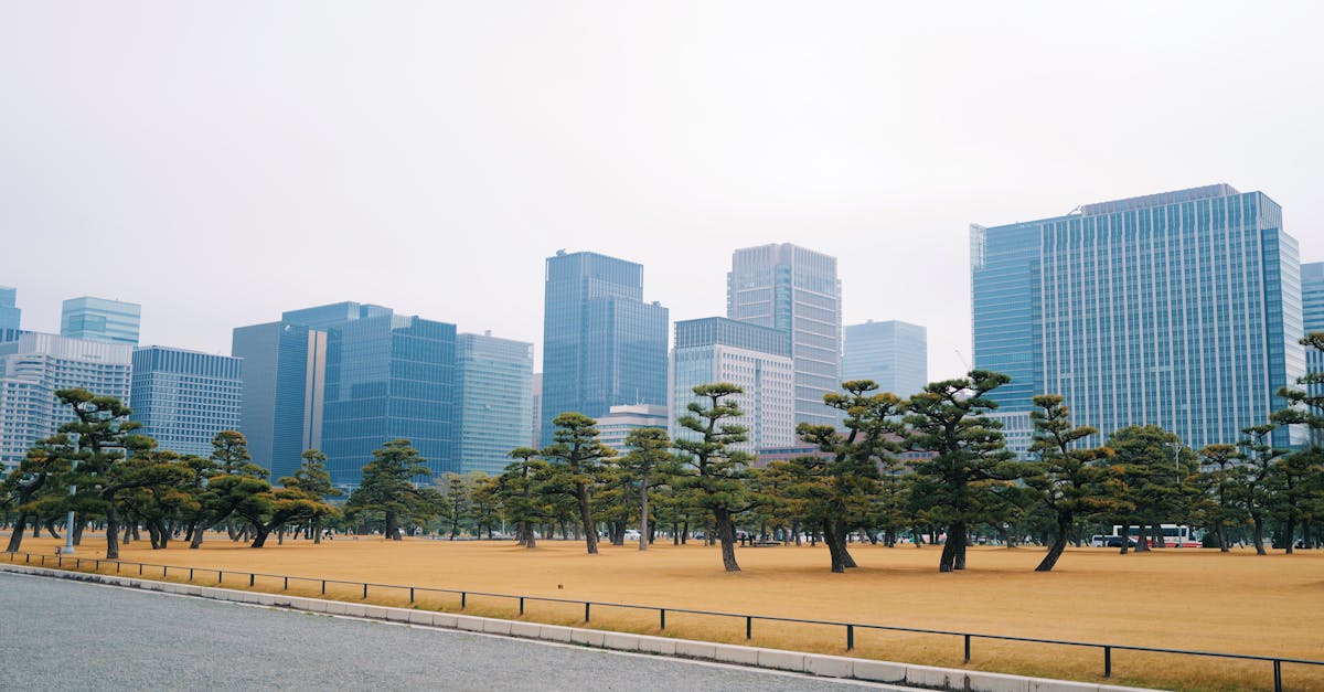tokyo-culture-tours