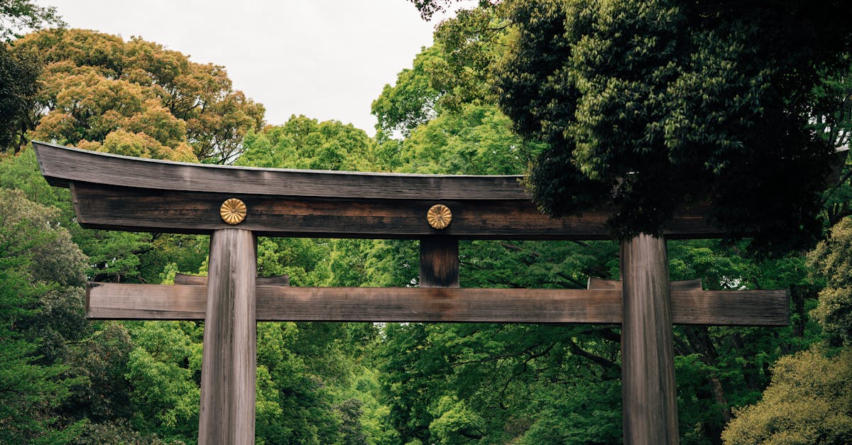 tokyo-nature-tours