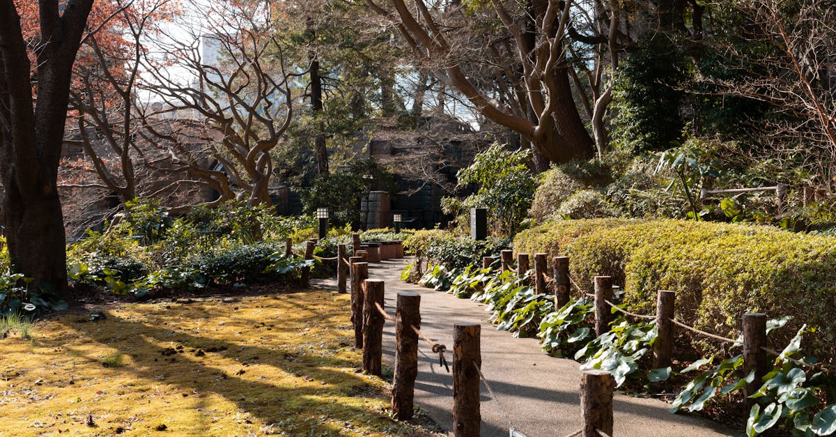 tokyo-nature-tours