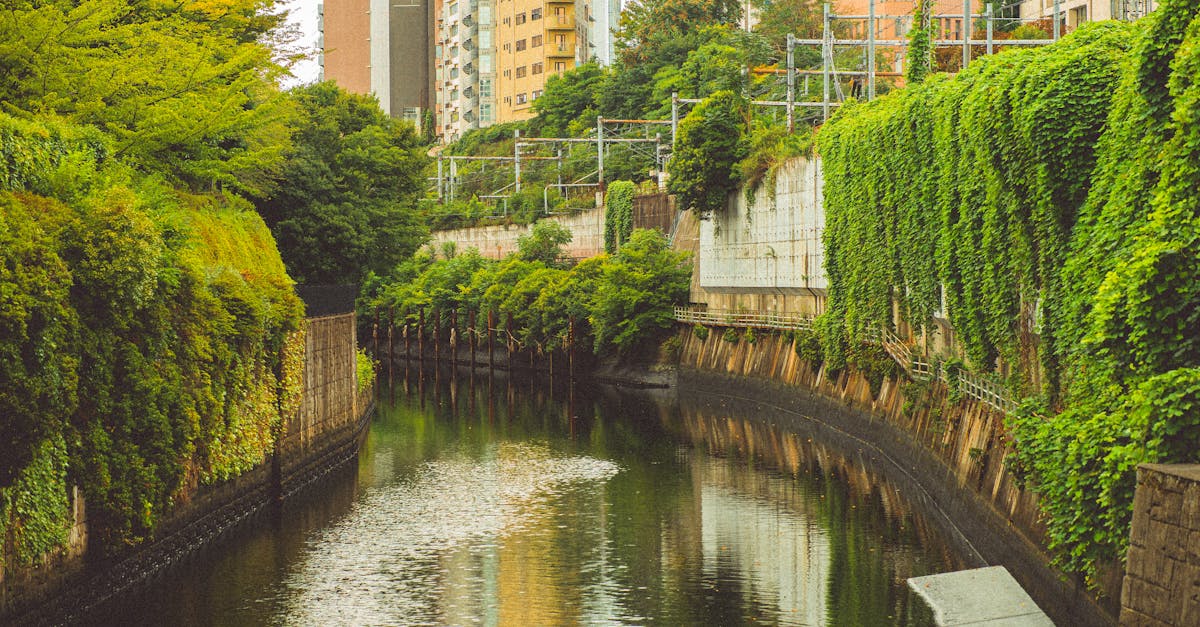 tokyo-nature-tours