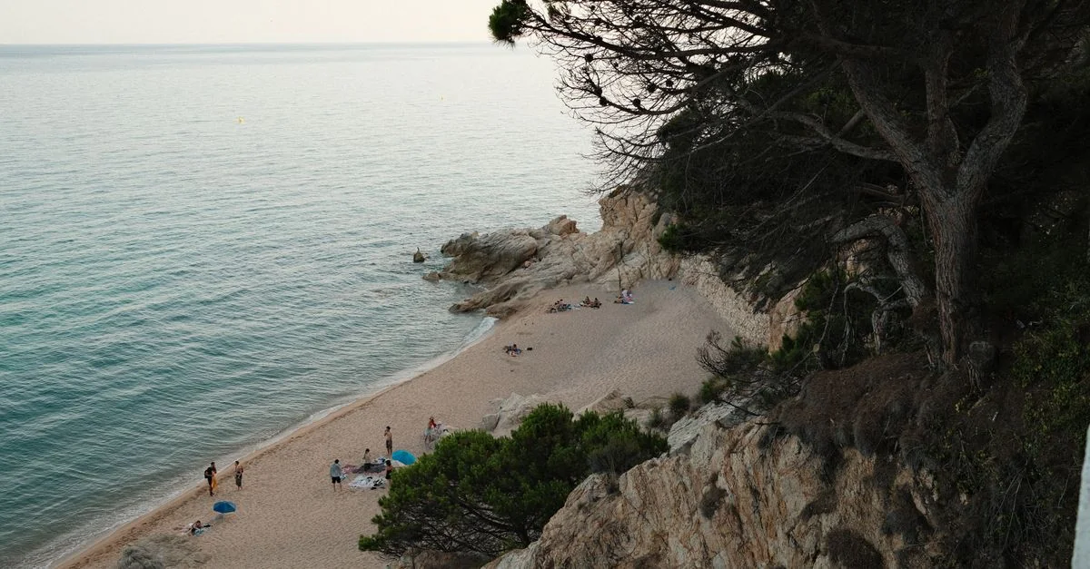 Tossa de Mar to Barcelona: A Practical Guide to Getting to the City