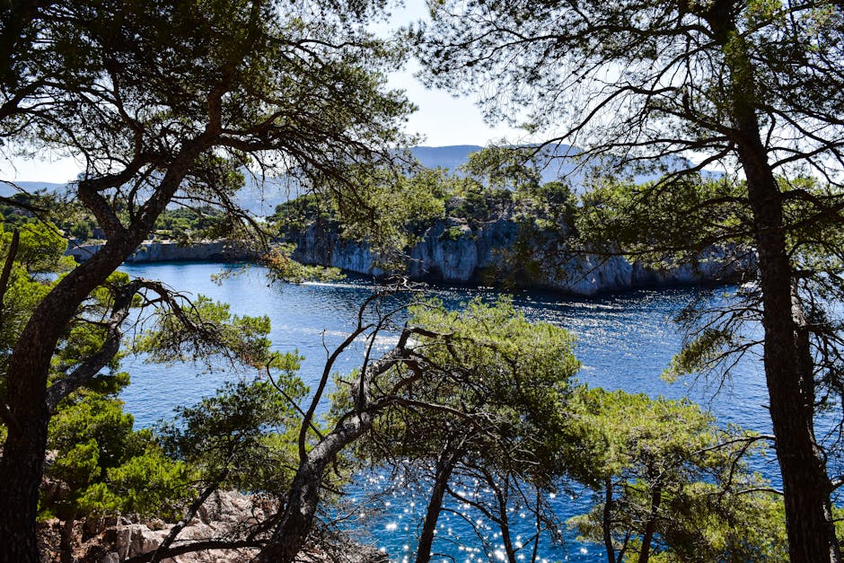 toulon-to-cassis-train