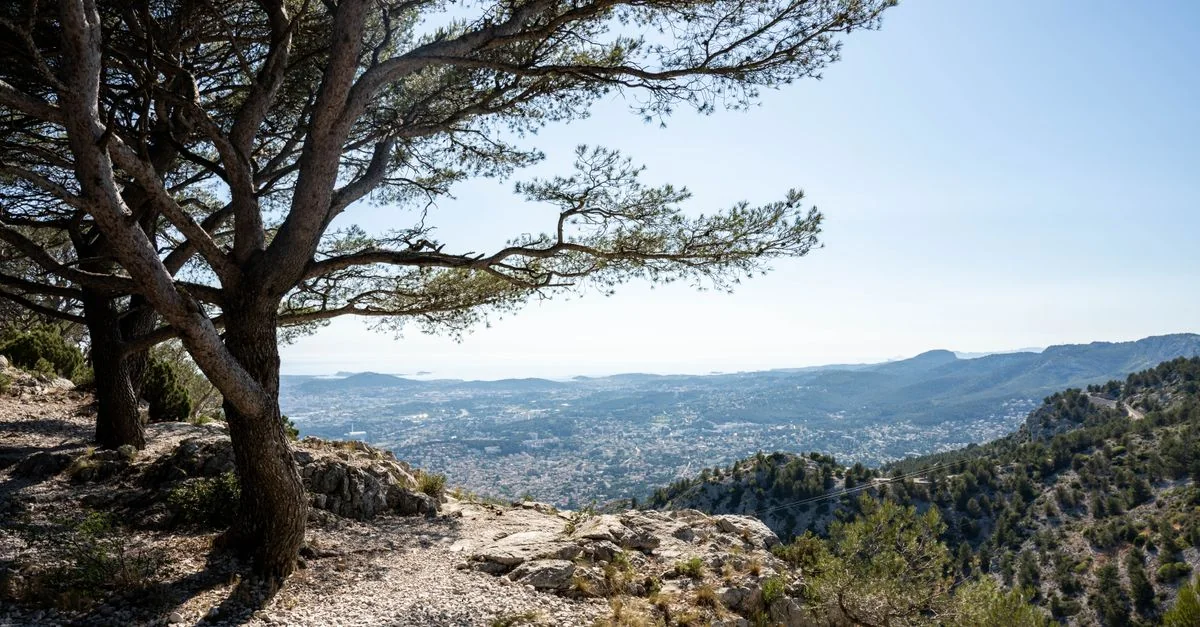 Exploring Europe on a Budget: A Bus Journey from Toulon to Marseille