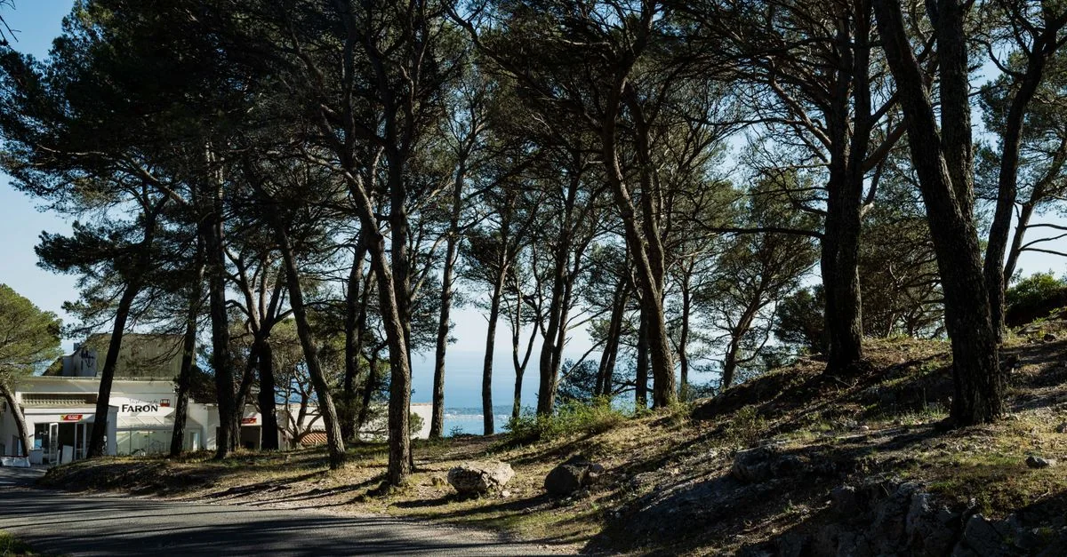 Bus Travel from Toulon to Toulouse: A Practical Guide