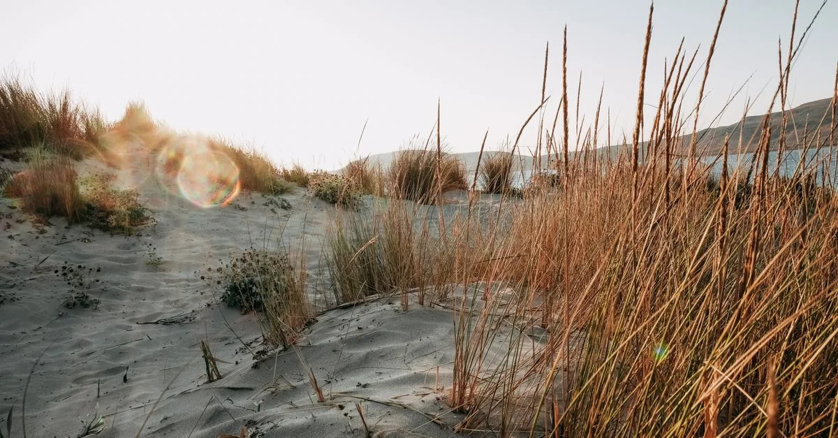 Photography Tours in Tourlos: Best Photo Walks and Workshops