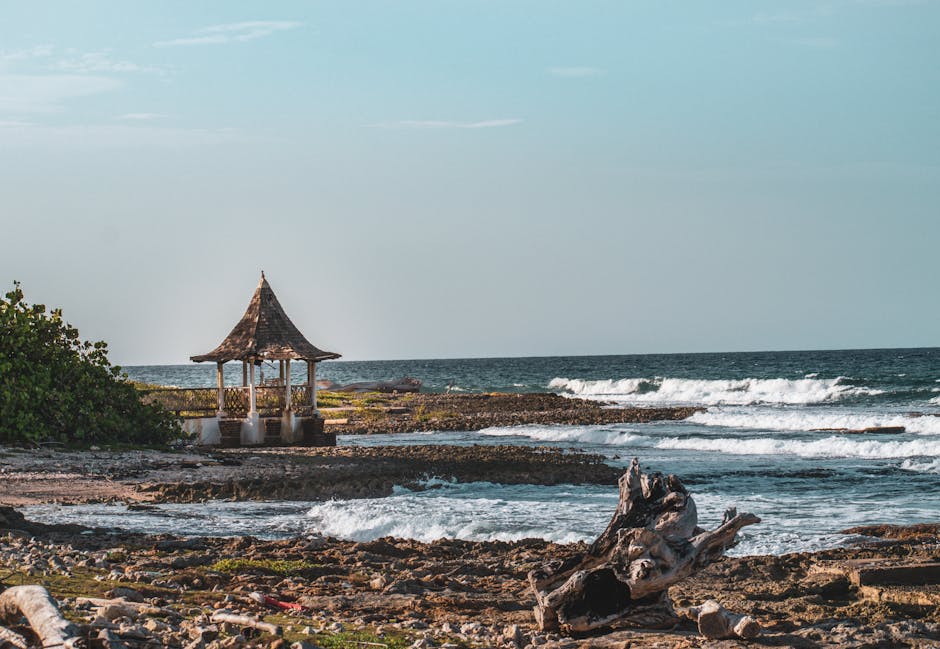 trelawny-travel-guide