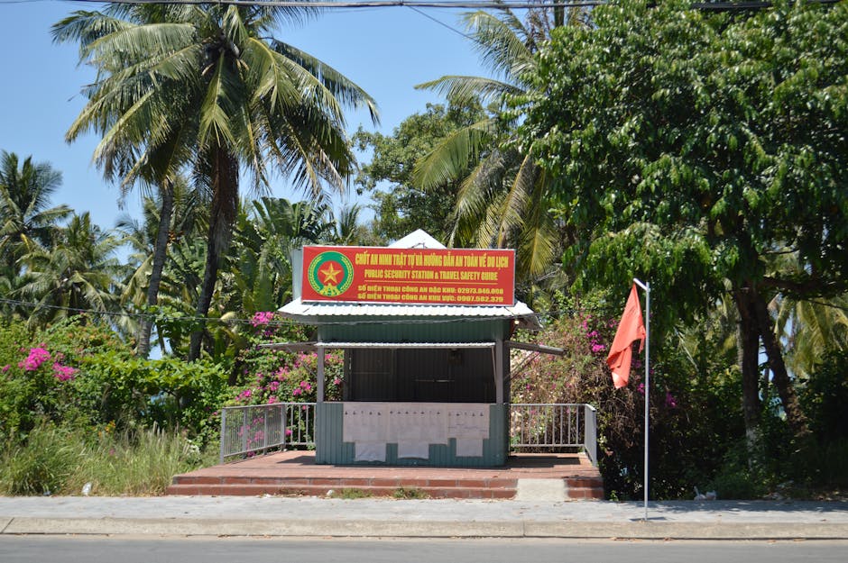 trelawny-travel-guide