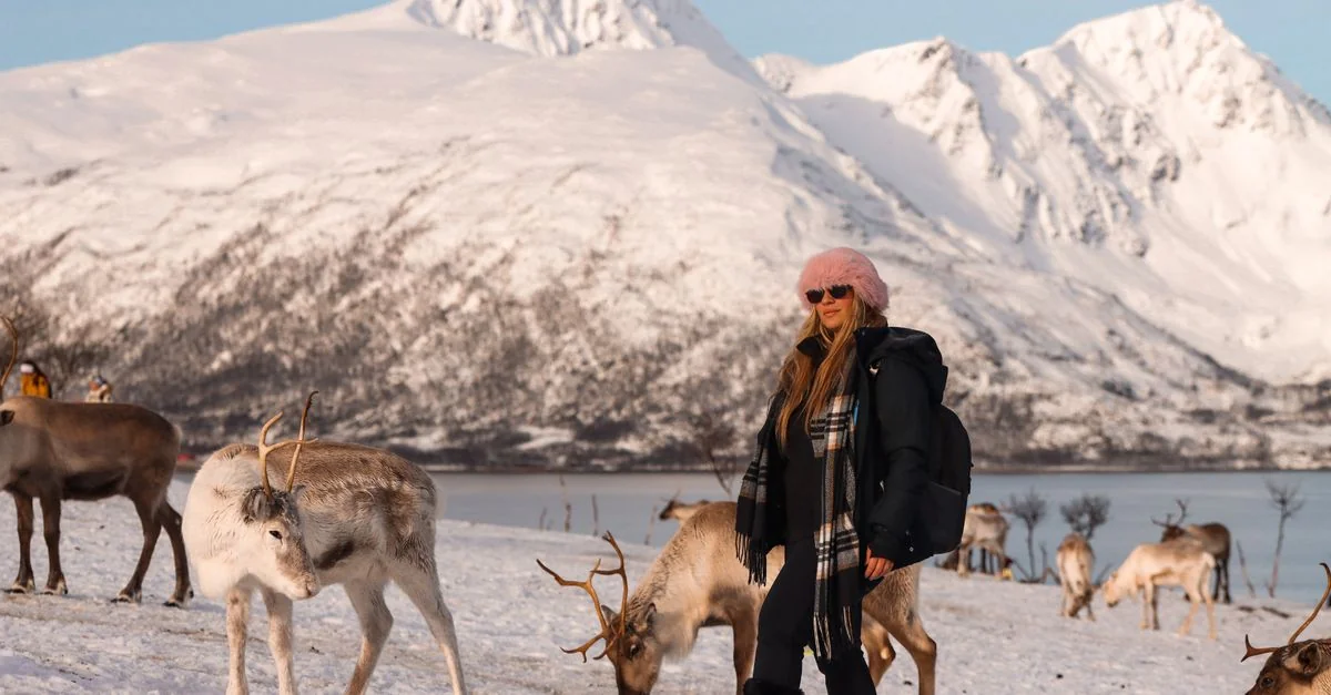 Nature and Wildlife Tours in Tromso: Safari, Birdwatching and Eco Adventures