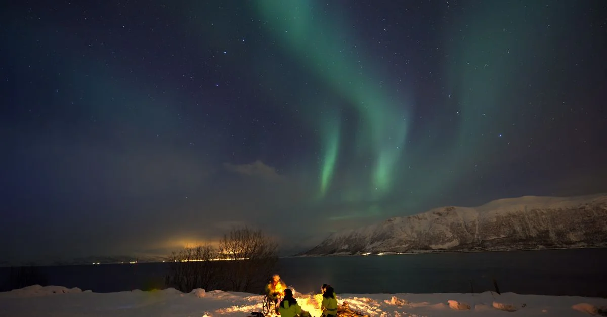 Nature and Wildlife Tours in Tromso: Safari, Birdwatching and Eco Adventures
