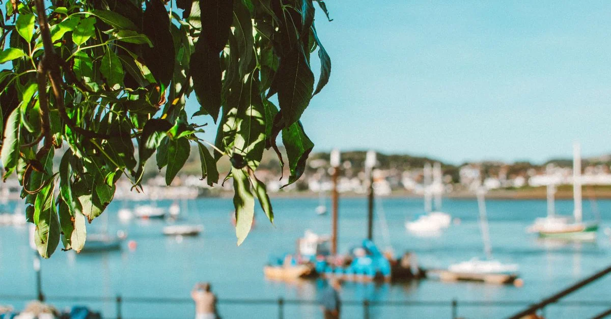 Truro to London Bus Travel Guide