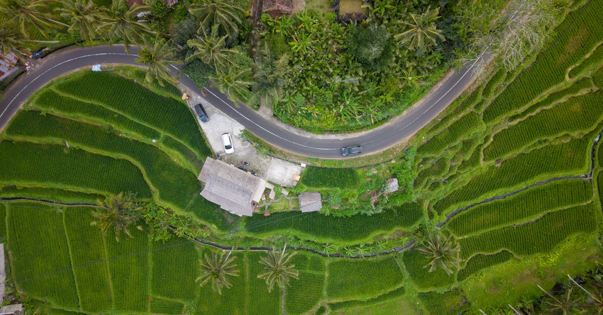 ubud-adventure