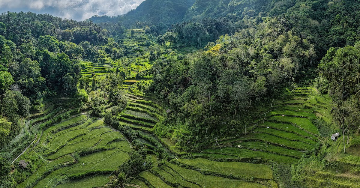 ubud-adventure
