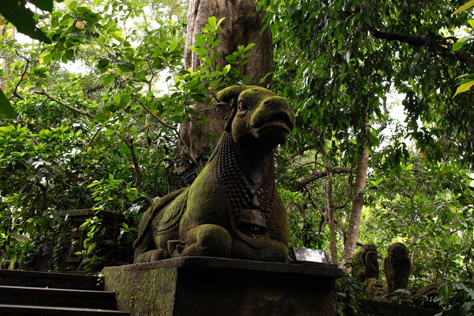 ubud-adventure