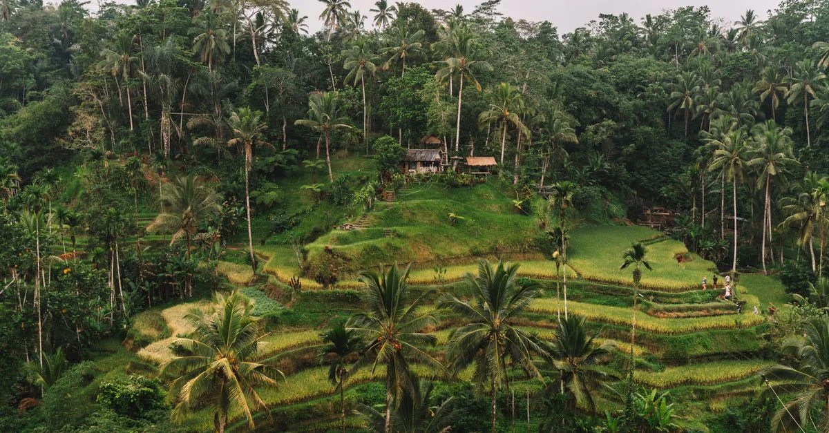 Carving Culture: An Art and History Guide to Ubud