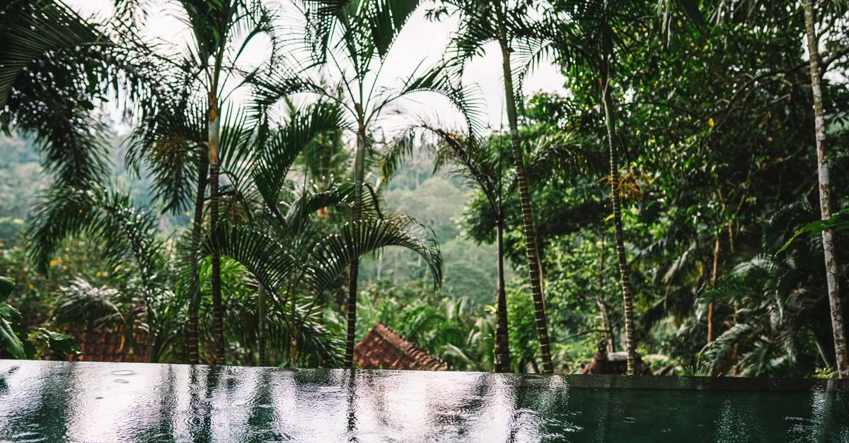 Carving Culture: An Art and History Guide to Ubud