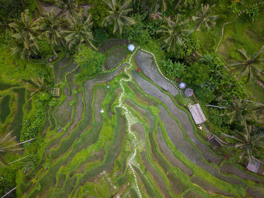 ubud-day-trips