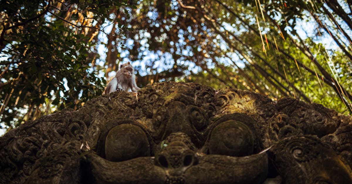 ubud-nature-tours