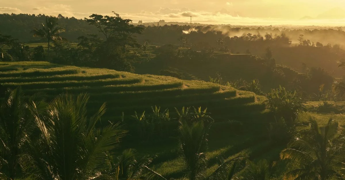 Best Photo Tours in Ubud