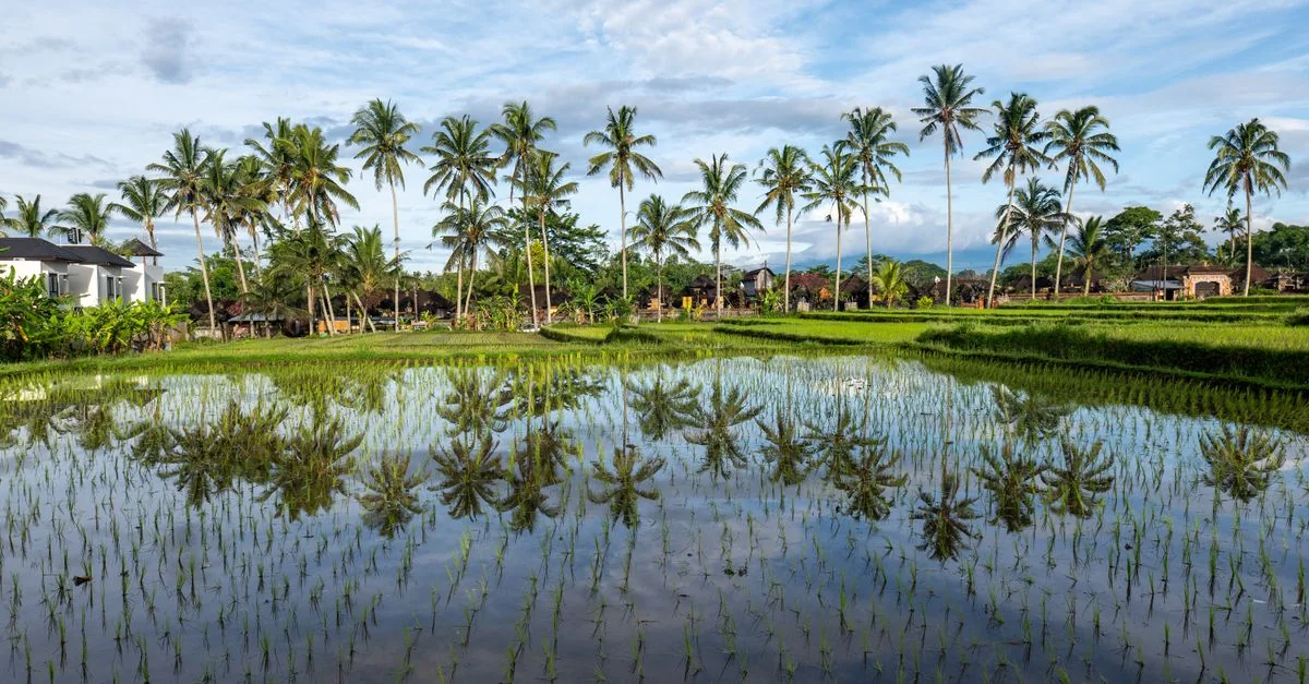Best Photo Tours in Ubud