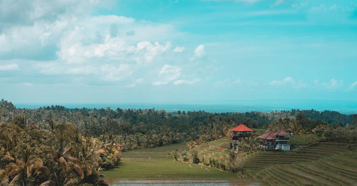 Best Photo Tours in Ubud