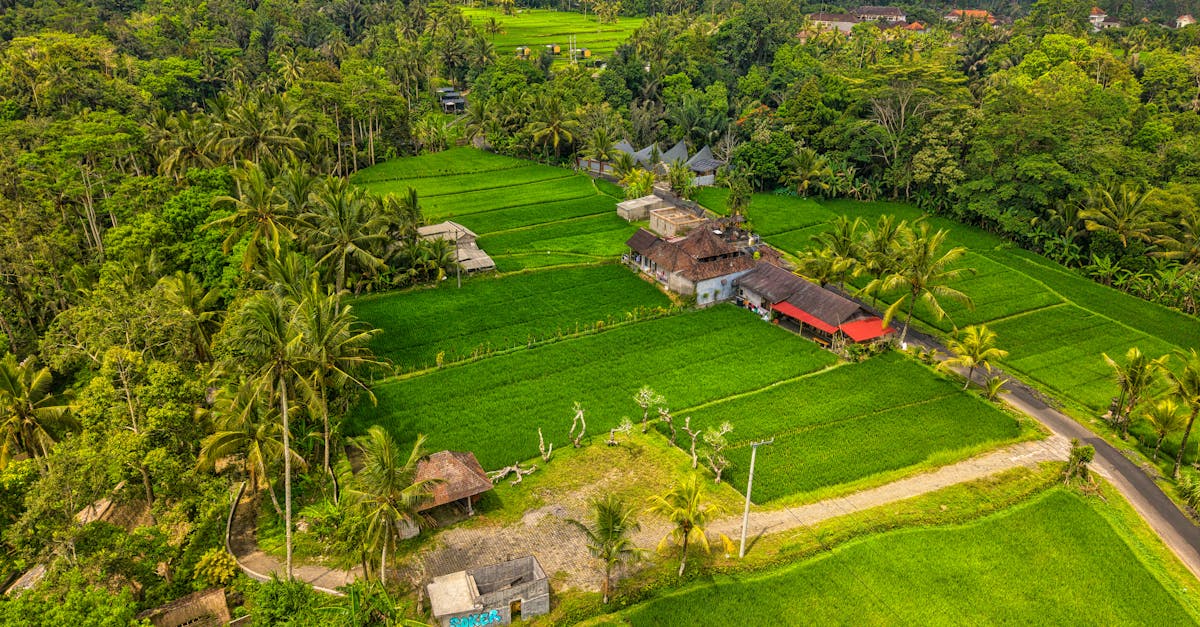 ubud-water-sports