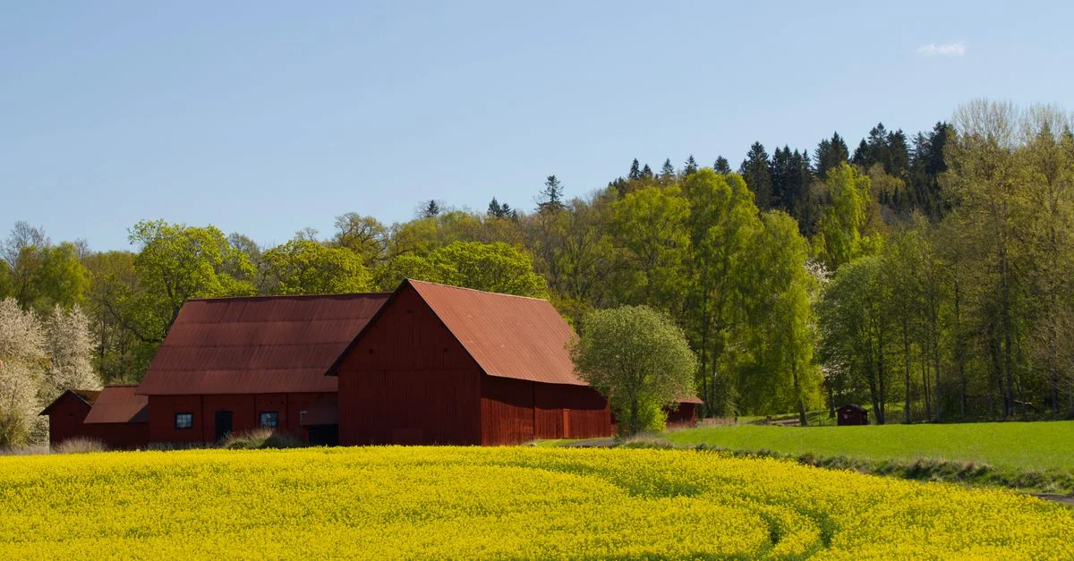 Unlocking Uppsala län: A Guide to Escape Rooms and Puzzle Experiences