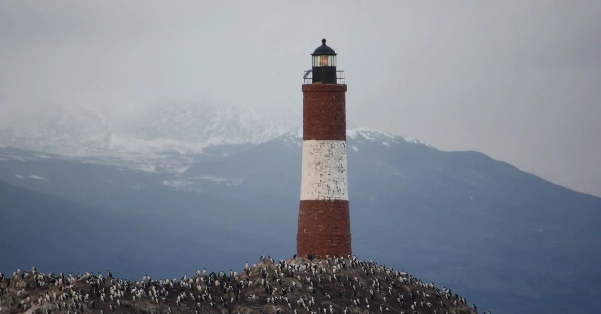 Best Photo Tours in Ushuaia