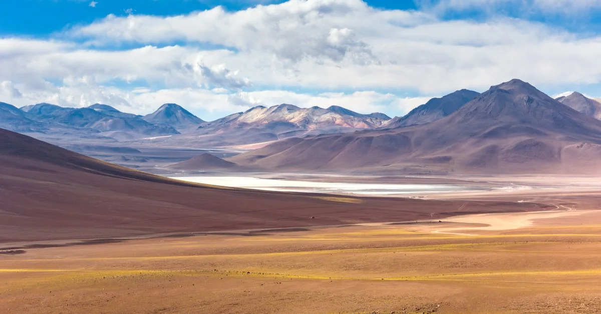Nature and Wildlife Tours in Uyuni: Safari, Birdwatching and Eco Adventures