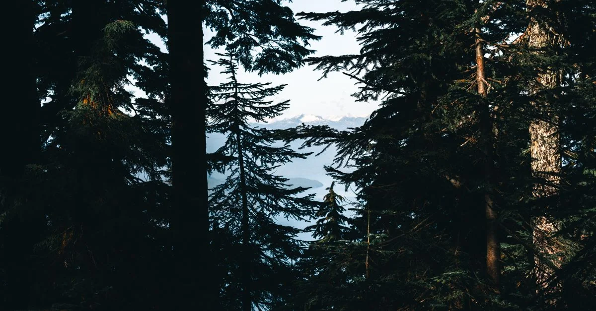 Vancouver Airport and Transfer Guide: Getting to Your Hotel Without the Hassle