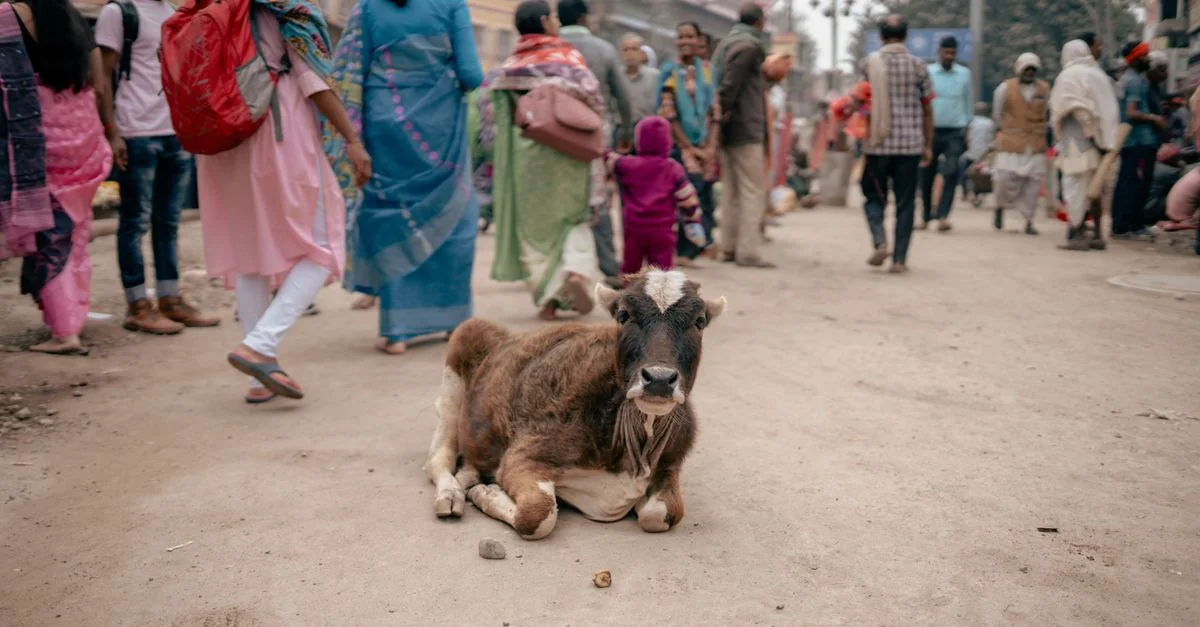 Spiritual Journeys in Varanasi: A Day Trip Guide
