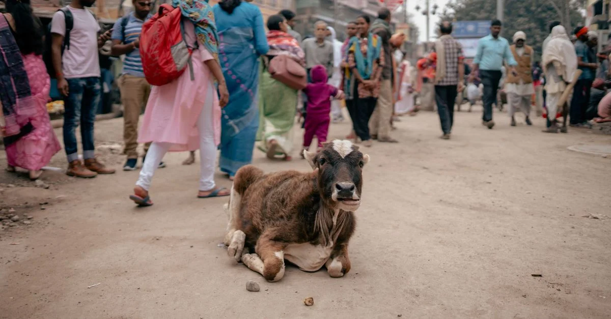 Spiritual Journeys in Varanasi: A Day Trip Guide