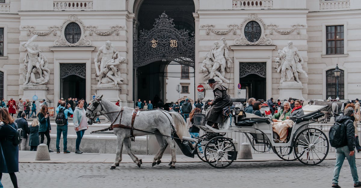 vienna-layover-tours