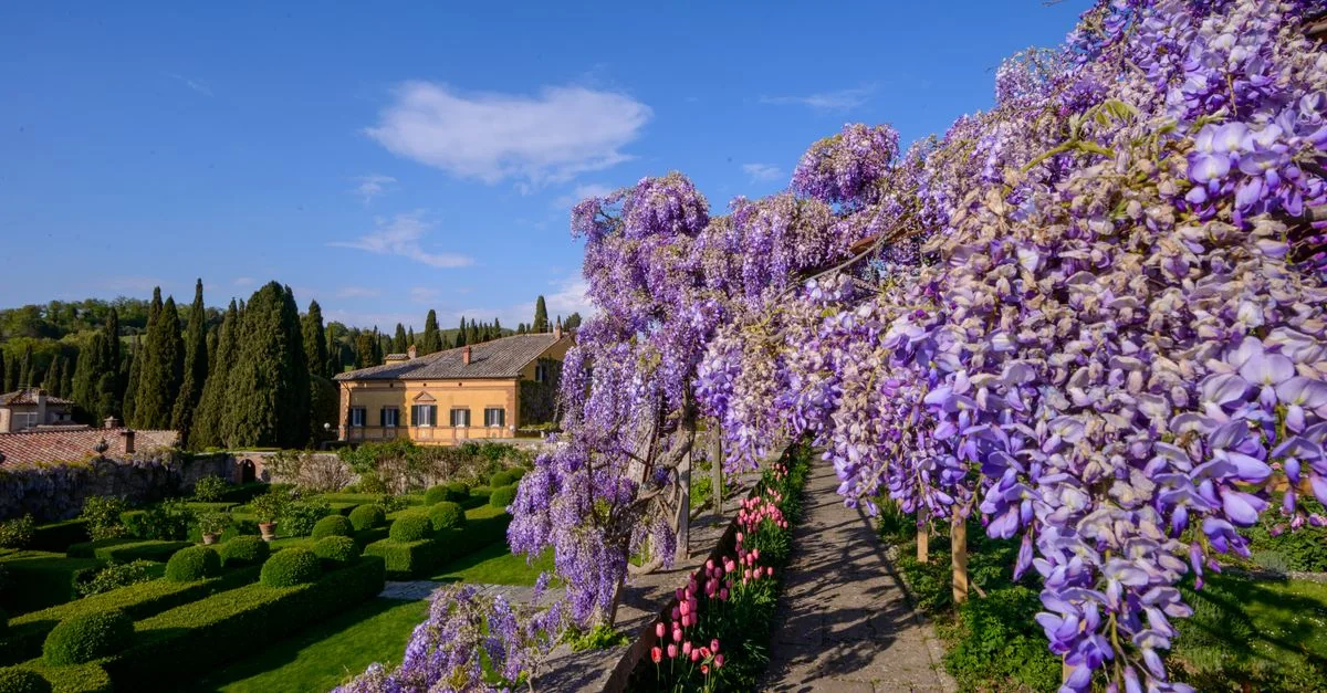 Villa Literno to Rome by Bus: A Budget Traveler&rsquo;s Guide